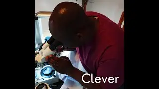 LEARN gemmology like Clever