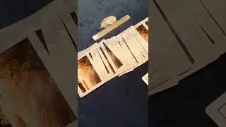 CAPRICORN😇ANGEL FEATHER CARD READING🪶- NEXT 24 HOURS #shorts