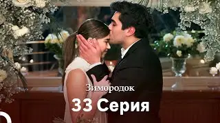 Зимородок 33 Cерия (Русский дубляж)(Длинная Bерсия)