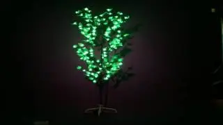 зеленое дерево