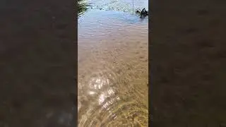 Моя Родина Вишур-Речка