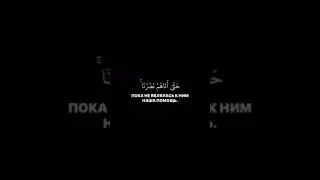 Сура Аль-Анам Аяты 33