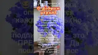 С добрым утром!