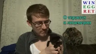 О терактах и лицемерии