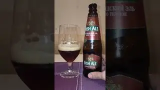 Ирландский эль из Алтайского края