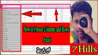 Excel Tricks |  Freeze Columns and Rows