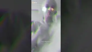 Столица Франции