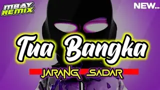 REGGAE TUA BANGKA || TERBARU 2024 (DINO SOLA)