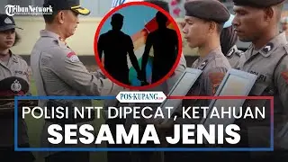 Berhubungan Sesama Jenis, 2 Anggota Polda NTT Dipecat