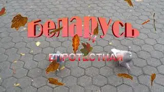 Беларусь непротестная