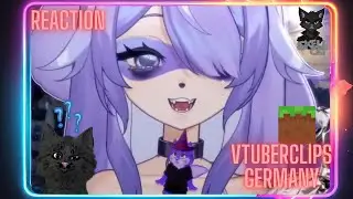 😂Reaction/darum heißt es  Minecraft und ist das Normal ?(VTuberClipsGermany)😺