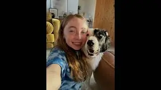 AdTab CRO – DOG VIDEO WITH CAT TAG – 40s