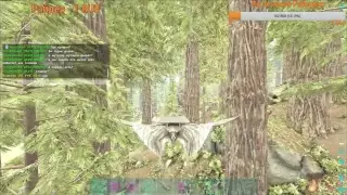 Ark 