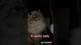Es caro