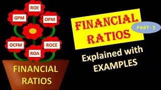 Efficiency and Market Ratios Explained | Rain Industries