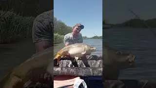 #карпфишинг #fishing #карповаяловля #shortvideo #рыбалка