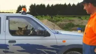 Авто Приколы