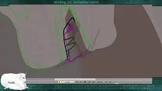 Animation Stream