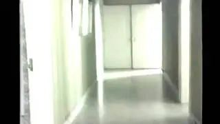 Let's Wrestle - For My Mother