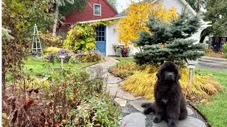 🍂 Stroll around the changing fall garden 🍂
