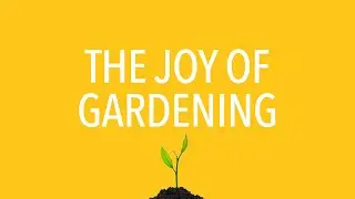 The Joy of Gardening - How we started a veggie garden this spring