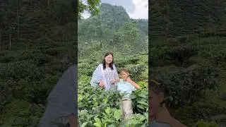 Ya Garden Tea Ka Garden Hai