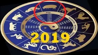 ГОРОСКОП НА 2019 ГОД ДЛЯ СВИНЬИ (КАБАНА)