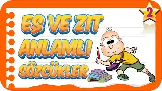 2. Sınıf Eş ve Zıt Anlamlı Sözcükler | Birlikte Öğrenelim 