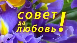 Надпись совет да любовь футажи для видеомонтажа