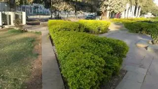 Sample 4K (2160p) video recorded in Google Pixel XL