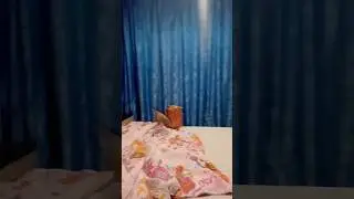 #мем