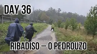 Camino | Day 36 | The Final Countdown