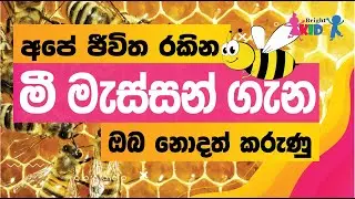 Bees for kids in sinhala | All About Bees for Kids | මී මැස්සෝ ගැන තොරතුරු | Bright kids