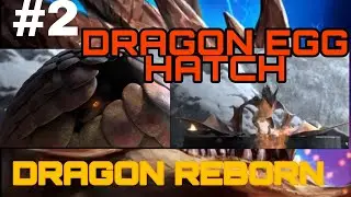 DRAGON REBORN| DRAGON EGG HATCH| #2