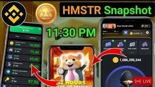 How To Claim Hamster Kombat Snapshot