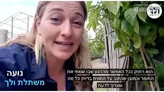 משתלת ולך - כנימות