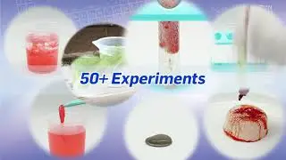 WES90XL Test Tube Chemistry Lab