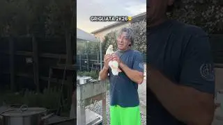 Dad wants to grill Billy😱🍗