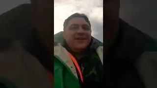Цапля
