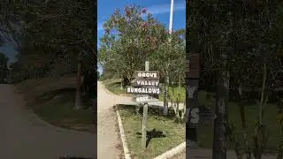 LET US SHOW YOU AROUND ONE OF THE BIGGEST CAMPSITES IN THE ALGARVE (Van Life Europe)