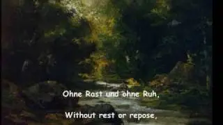 Franz Schubert - 