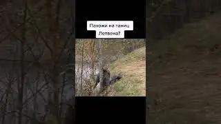 бомжик