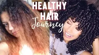 HEALTHY HAIR JOURNEY | Bleached & Broken to Bouncy & Beautiful in ONE Year  *WITH PICTURES*