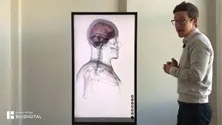What is a Concussion? - Dr. Tom Talks