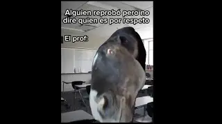 unusual videos #3