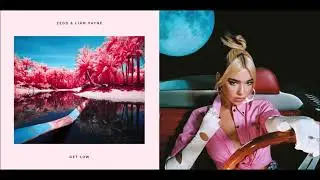 Levitating / Get Low - Dua Lipa and Liam Payne (Mashup!)