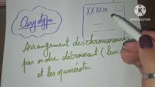 1ère sec biologie... unité 3 l'hérédité et les gènes