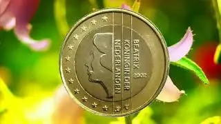 1 евро 2002 года выпуска, 2 часть