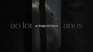 ilha das bonecas 