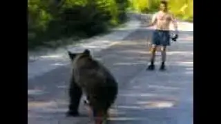 Схватка с медведем по дороге  в Абрау Дюрсо)